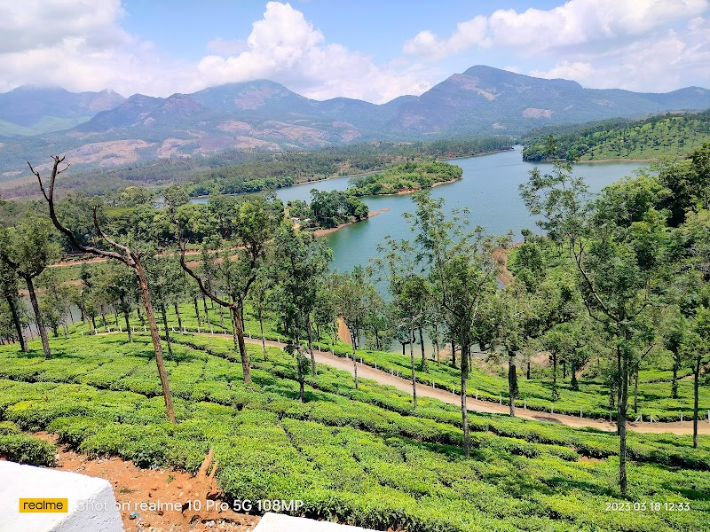 Rajappara Estate Homestay property view