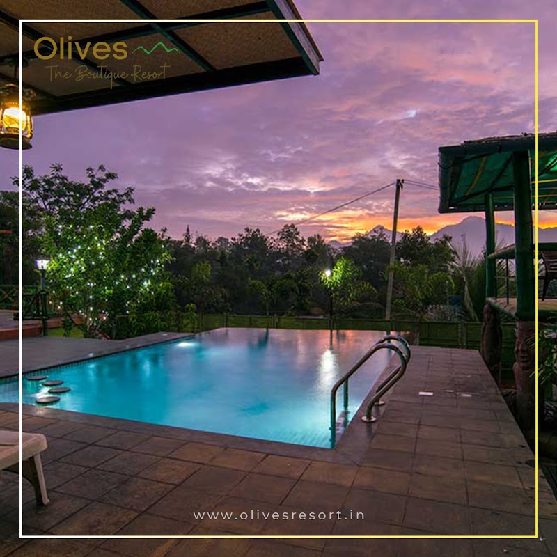 Olives Home Stay and Resort stay view