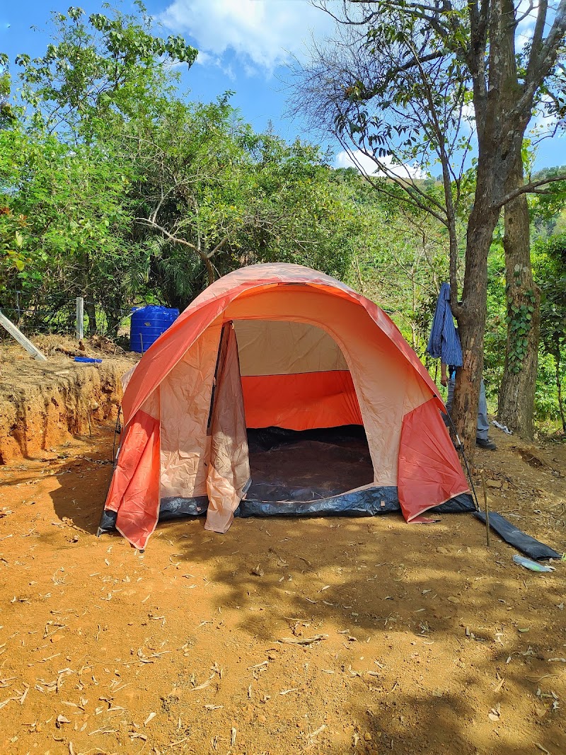 Hive Camping