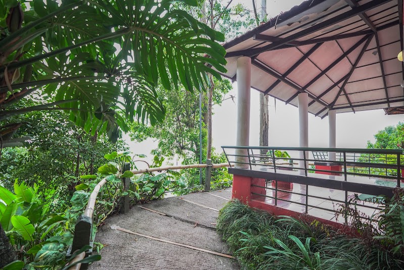Tea Valley Resort travel photo