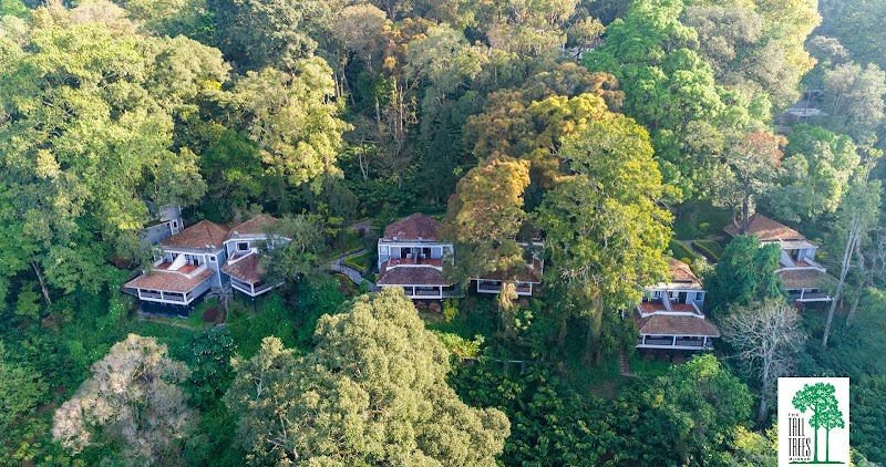 The Tall Trees Resorts