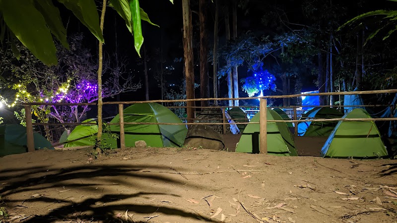 Jungle Camp photo
