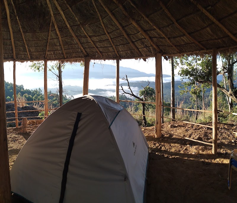 Jungle Camp stay view