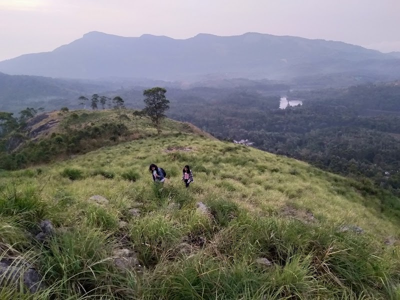 Jungle Camp travel photo