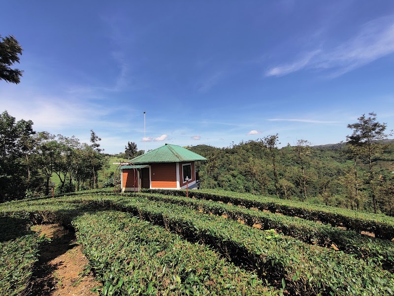Vagamon Green Hill Estate travel photo