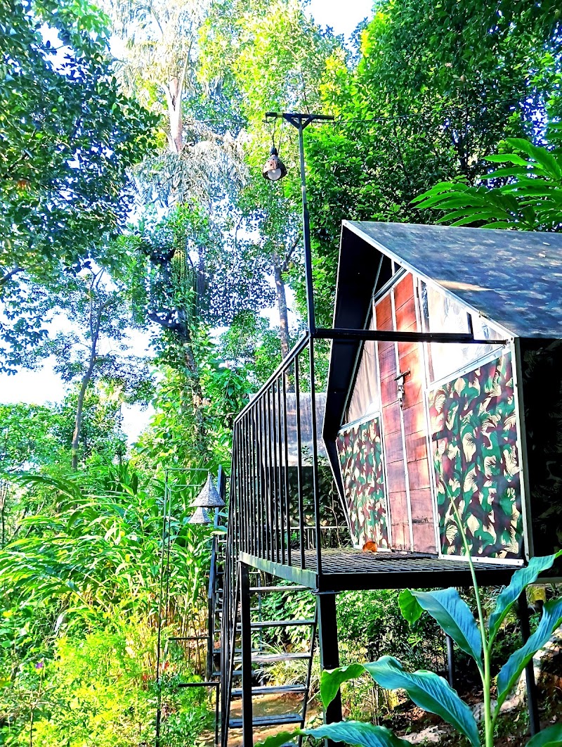 Nutmeg Farm House photo