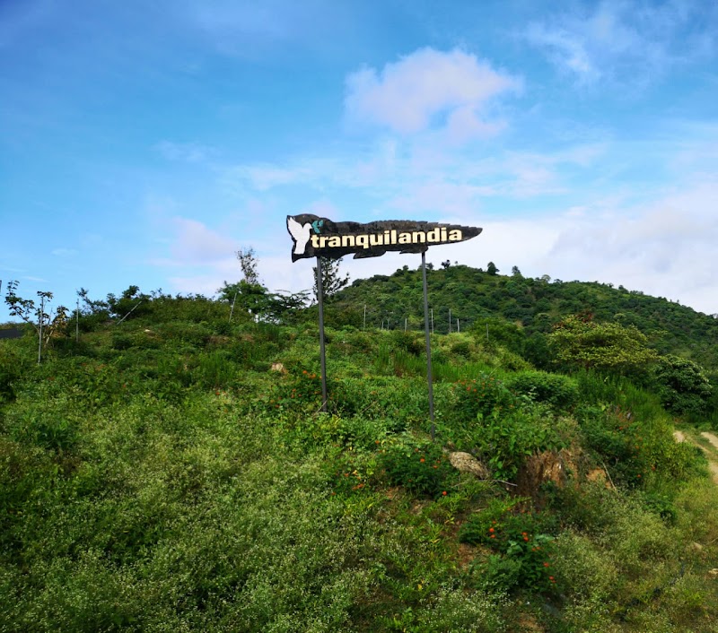 Tranquilandia property view