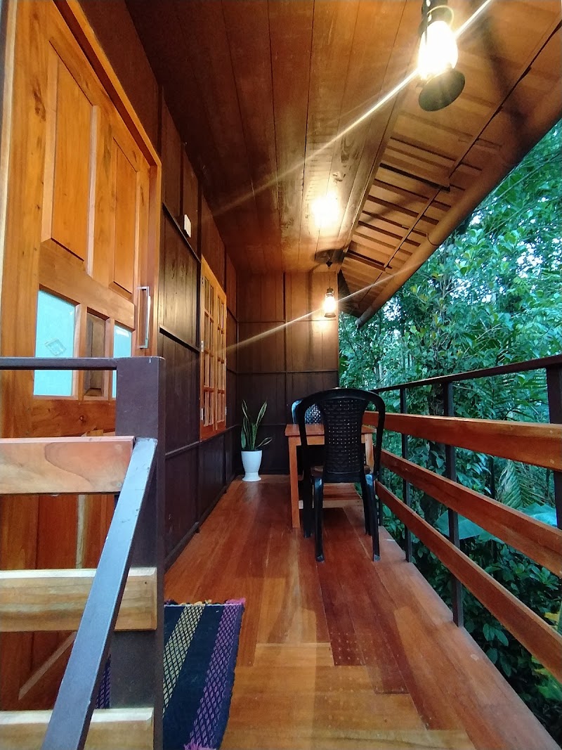 Lo Adoro Tree Hut Tourist Homestays property view