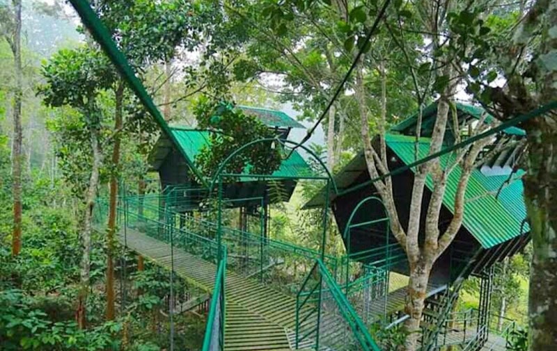 Wayanad Tree Houses