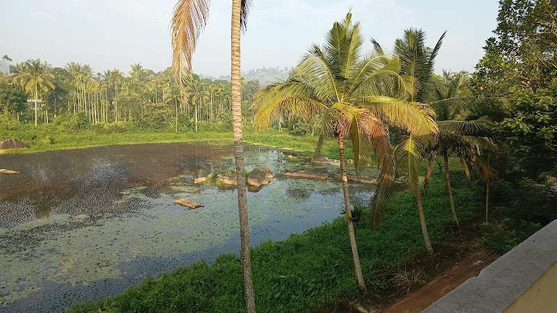 Souparnika Lakeview Homestay property view