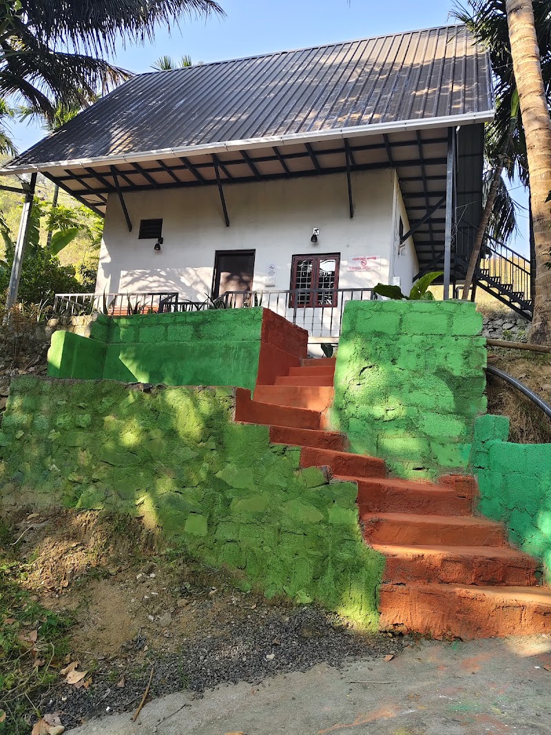 Mount River Homestay stay view