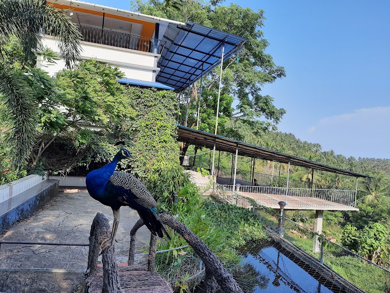 Hill Garden Resort photo