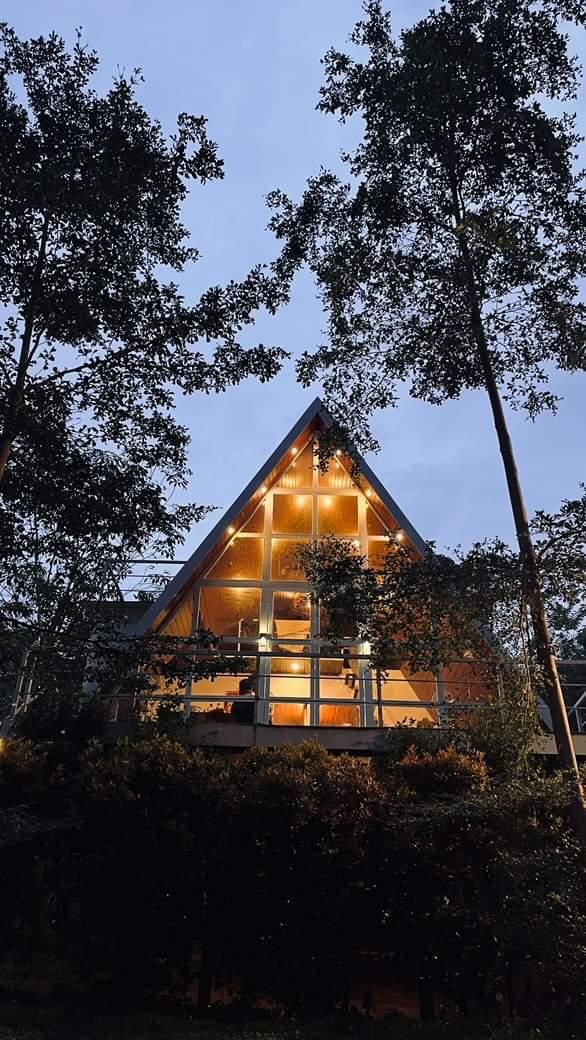 Forest Valley Cottage stay view