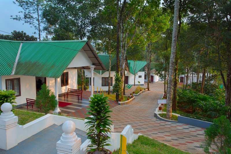 Misty Lake Resort