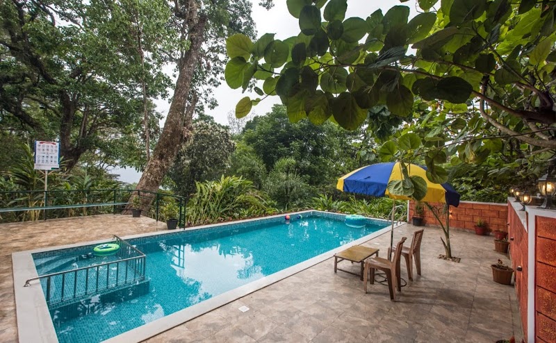 Spice Jungle Resort stay view