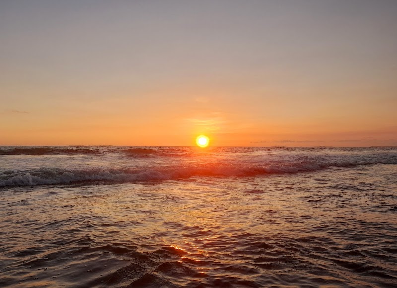 Orchard Sea View travel photo