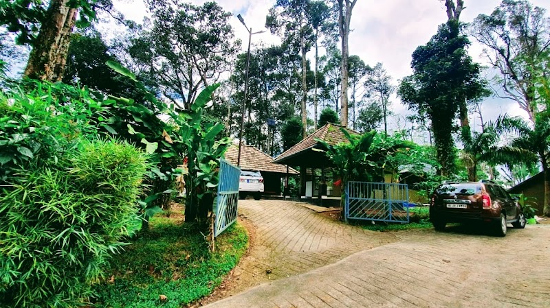 Misty Cardamom Hills Plantation Resort stay view