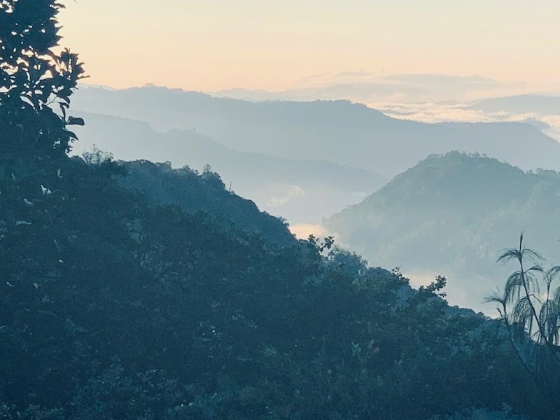 Misty Cardamom Hills Plantation Resort property view