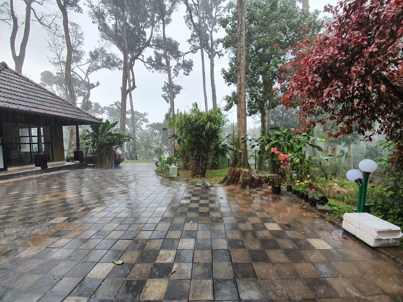 Misty Cardamom Hills Plantation Resort travel photo
