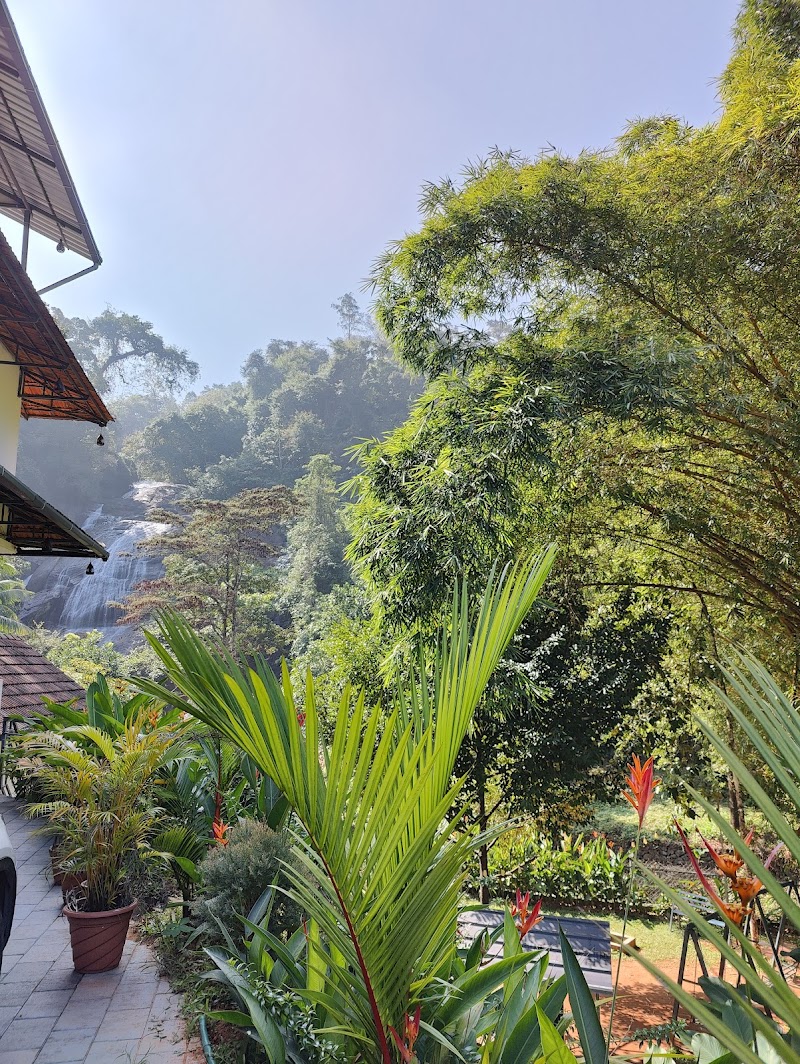Nature cascade Resort photo
