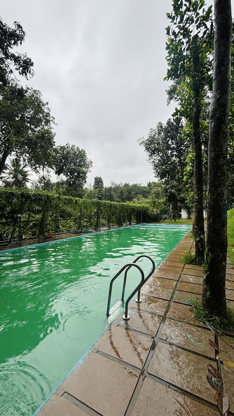 Nature cascade Resort stay view