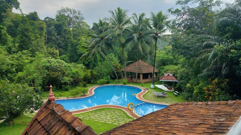Duke's Forest Lodge stay view