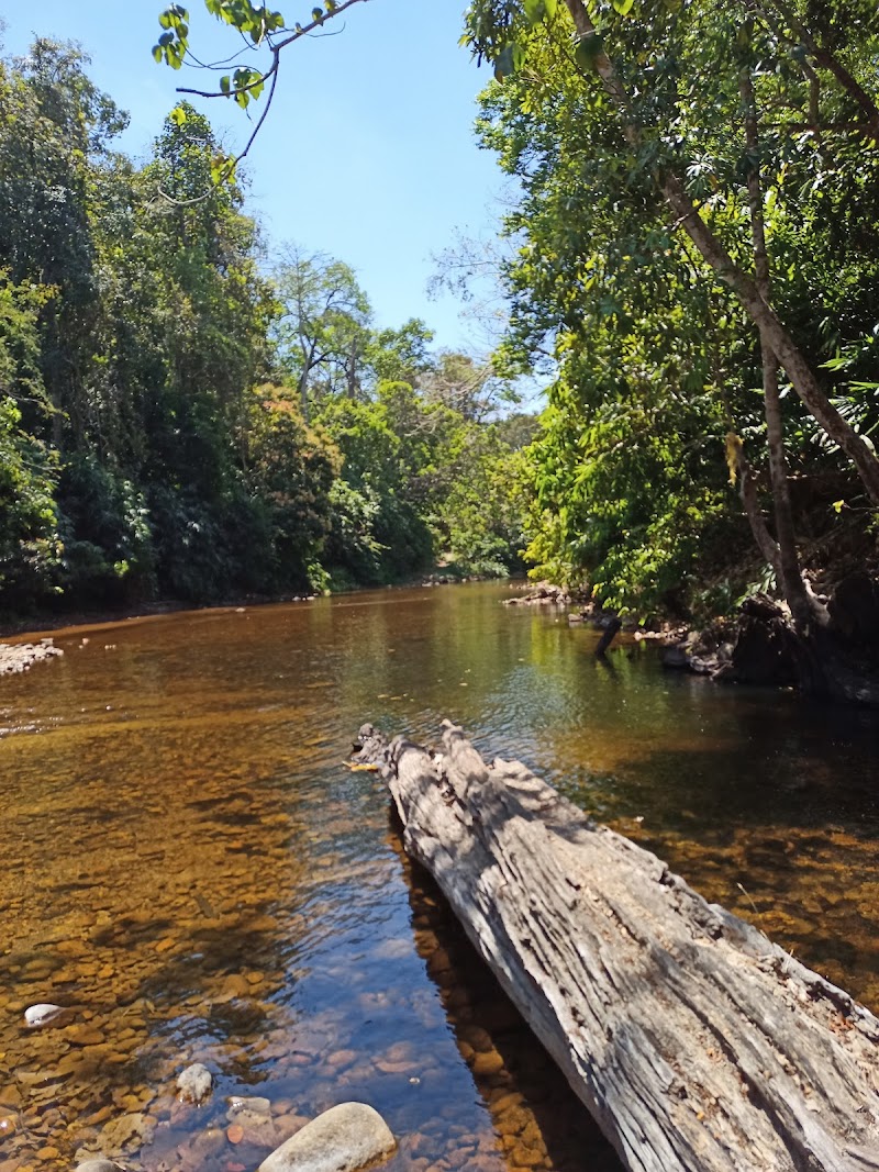 Duke's Forest Lodge property view