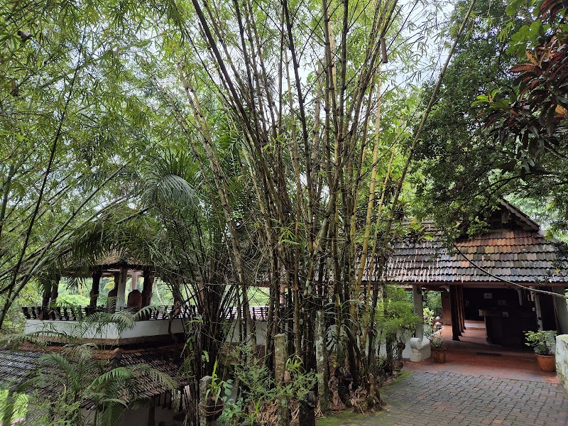 Duke's Forest Lodge travel photo
