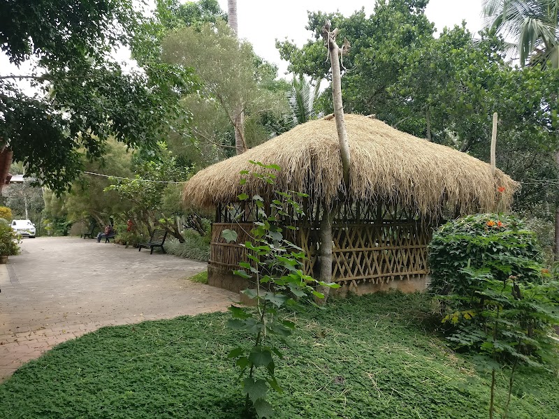 Hiliya Resort photo