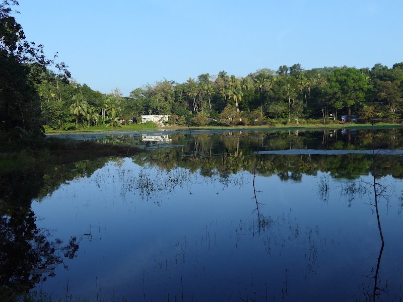 Thattekad Birds Song Homestay stay view