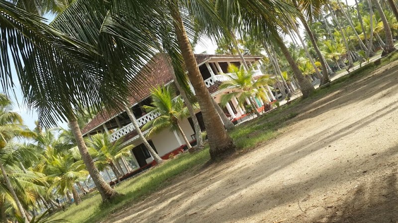 Michaels Land Homestay Resort stay view