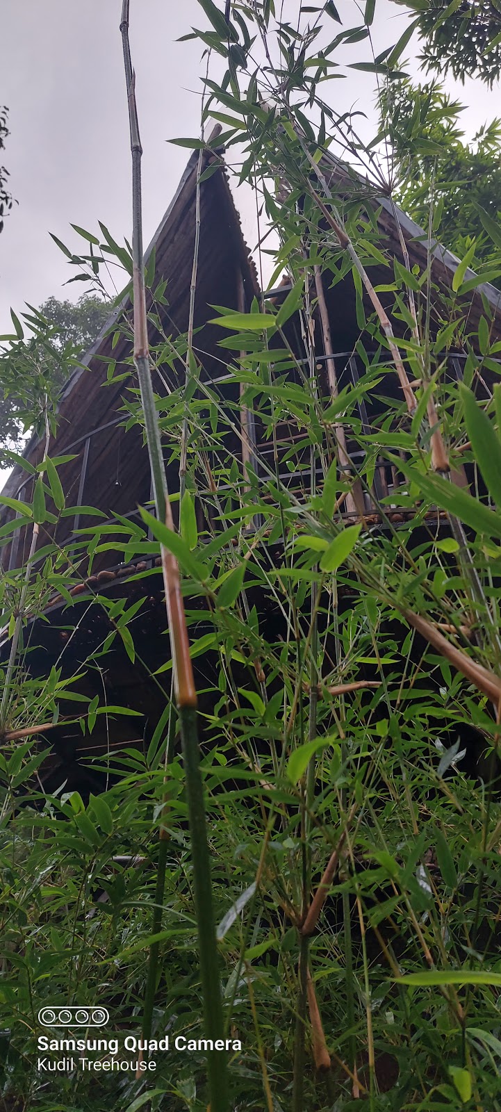 Kudil Treehouse room