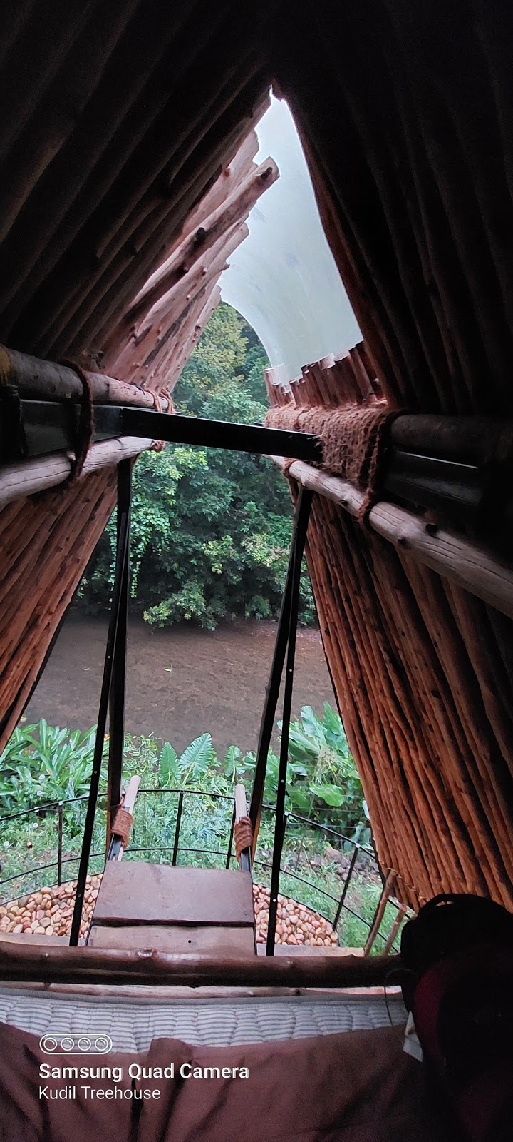 Kudil Treehouse property view
