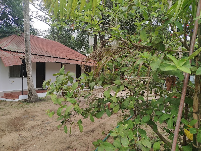 Green Earth Farm Stay photo