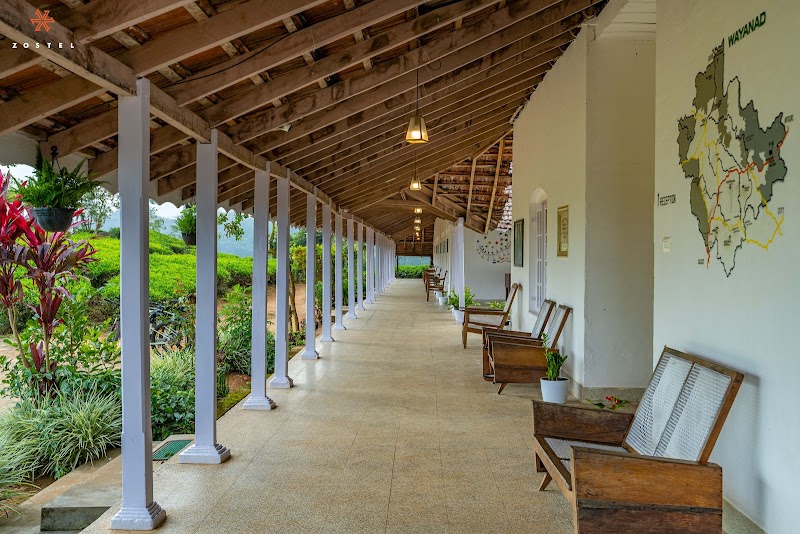 Zostel Plus Wayanad property view