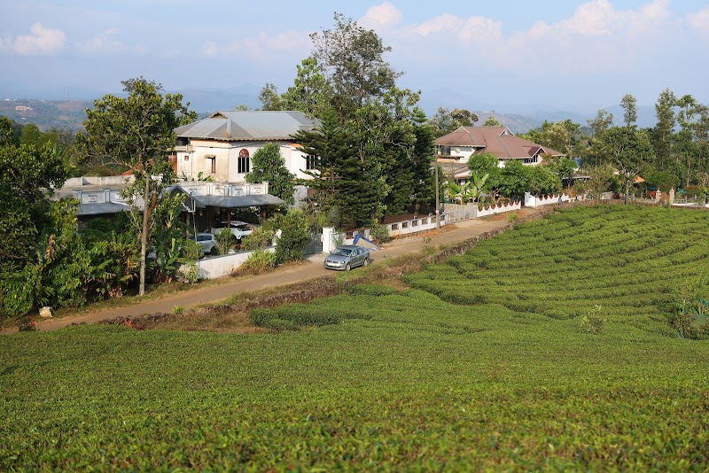 Grace & Joy Homestay