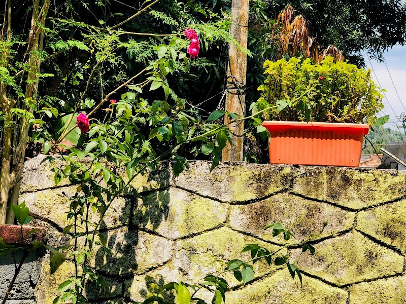 Varikkath Homestay room