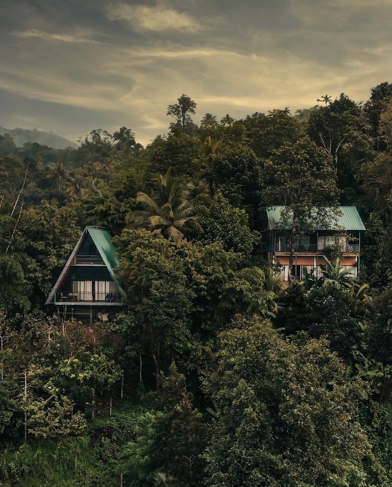 Tulsi Village Retreat photo