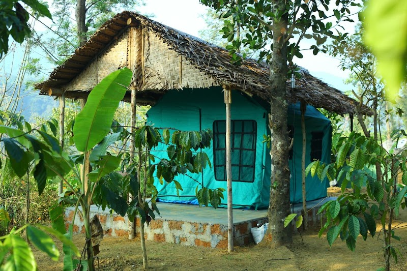 Blue Mango Camping