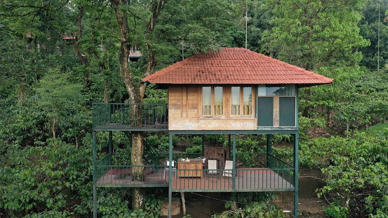 Avadale Wayanad photo