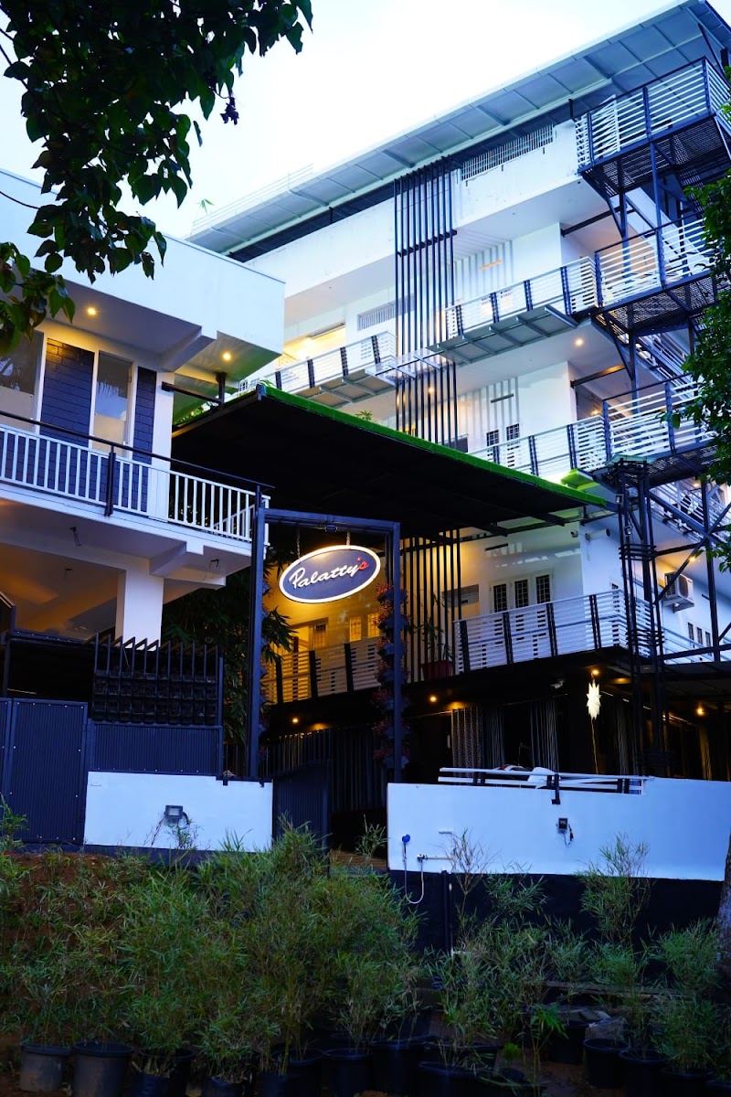 Palatty's Resort photo