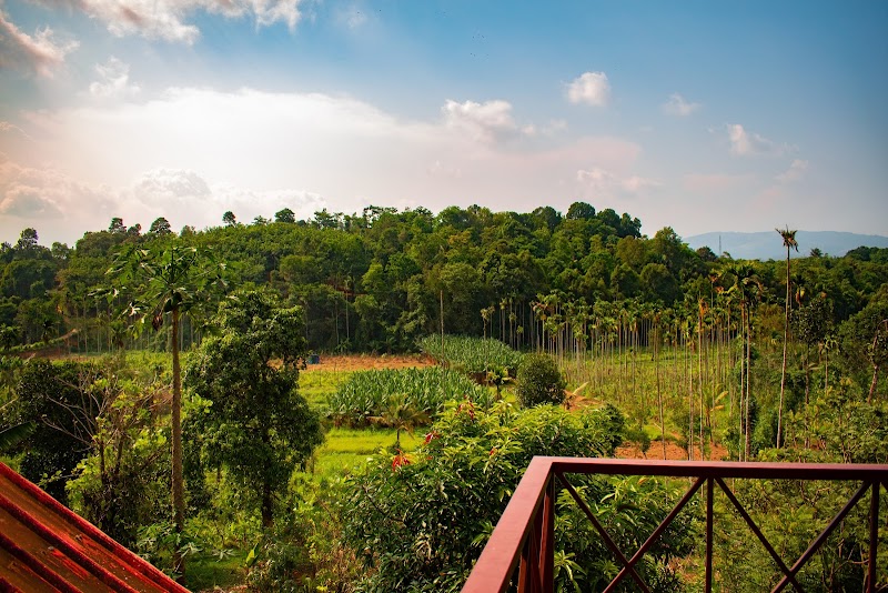 Sharanyam Homestay property view