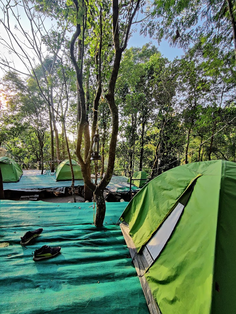 Adventure Evergreen Tent Stay photo
