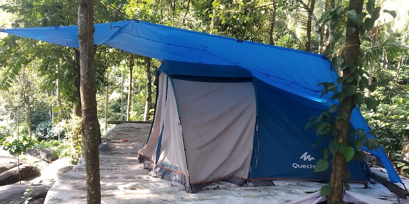 Adventure Evergreen Tent Stay property view