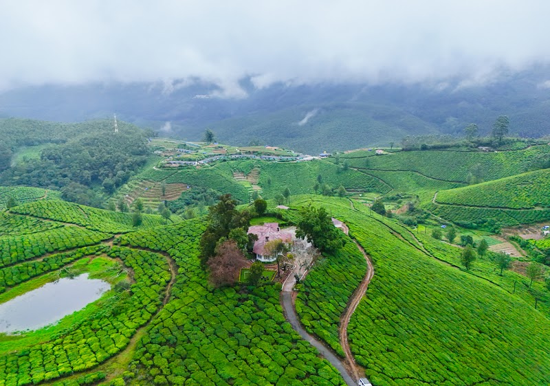 Arivikad Tea Bungalow stay view