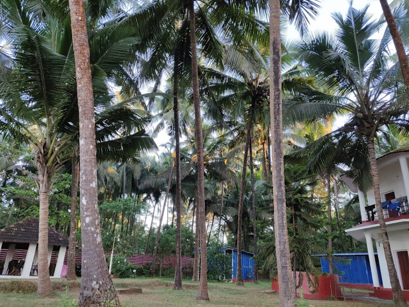 Waves Beach Resort travel photo