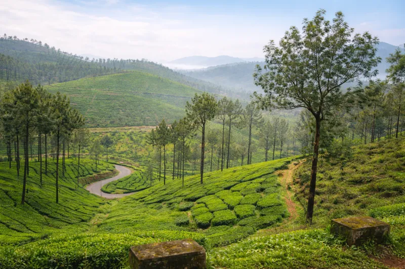 Munnar travel assistance