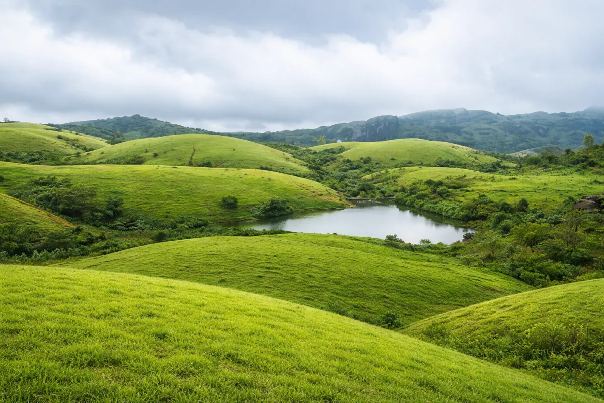 Vagamon Meadows