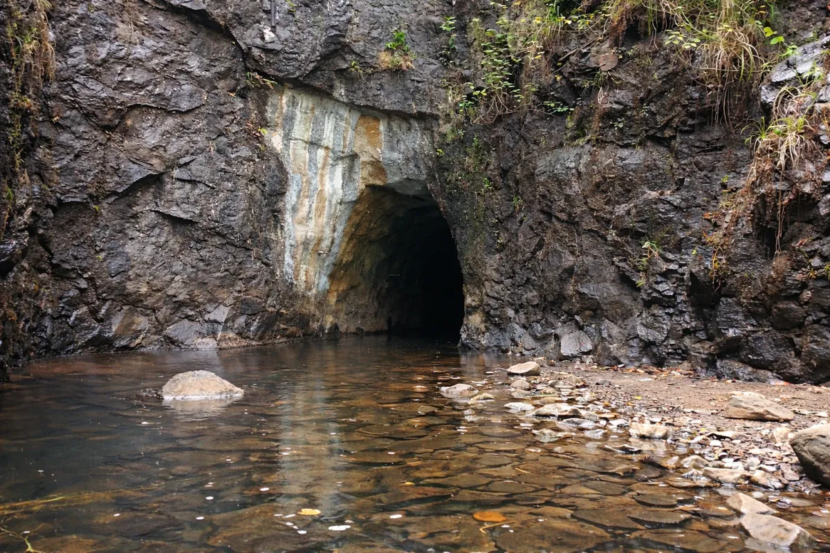 Arappukadu Tunnel