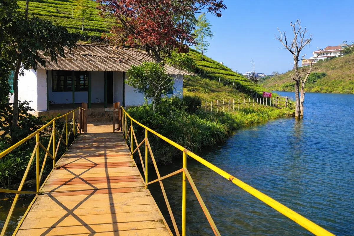 vagamon-tea-lake-image